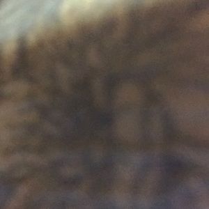 Meet your Posher, Rubi